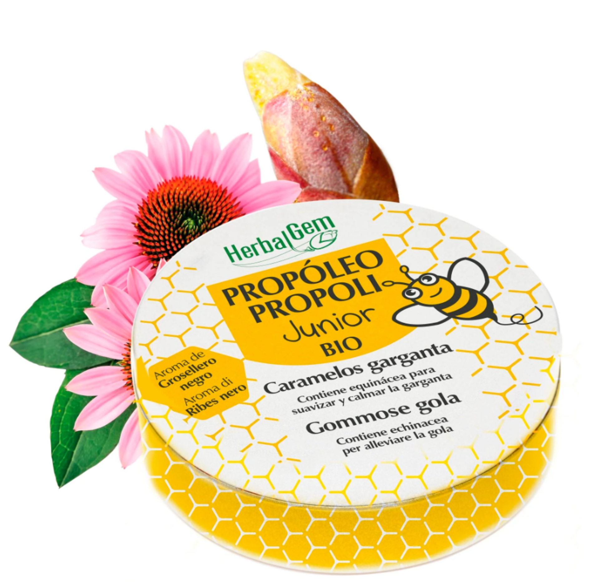 HERBALGEM PROPOLI JUNIOR GOMMOSE