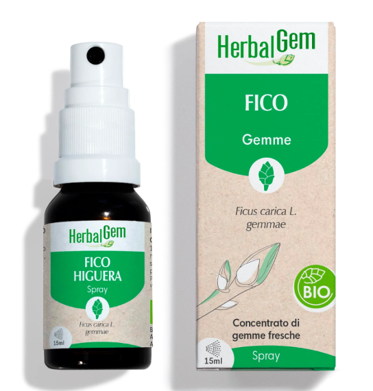 HERBALGEM MG BIO FICO 15ML