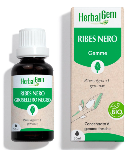 HERBALGEM RIBES NERO BIO 30ML