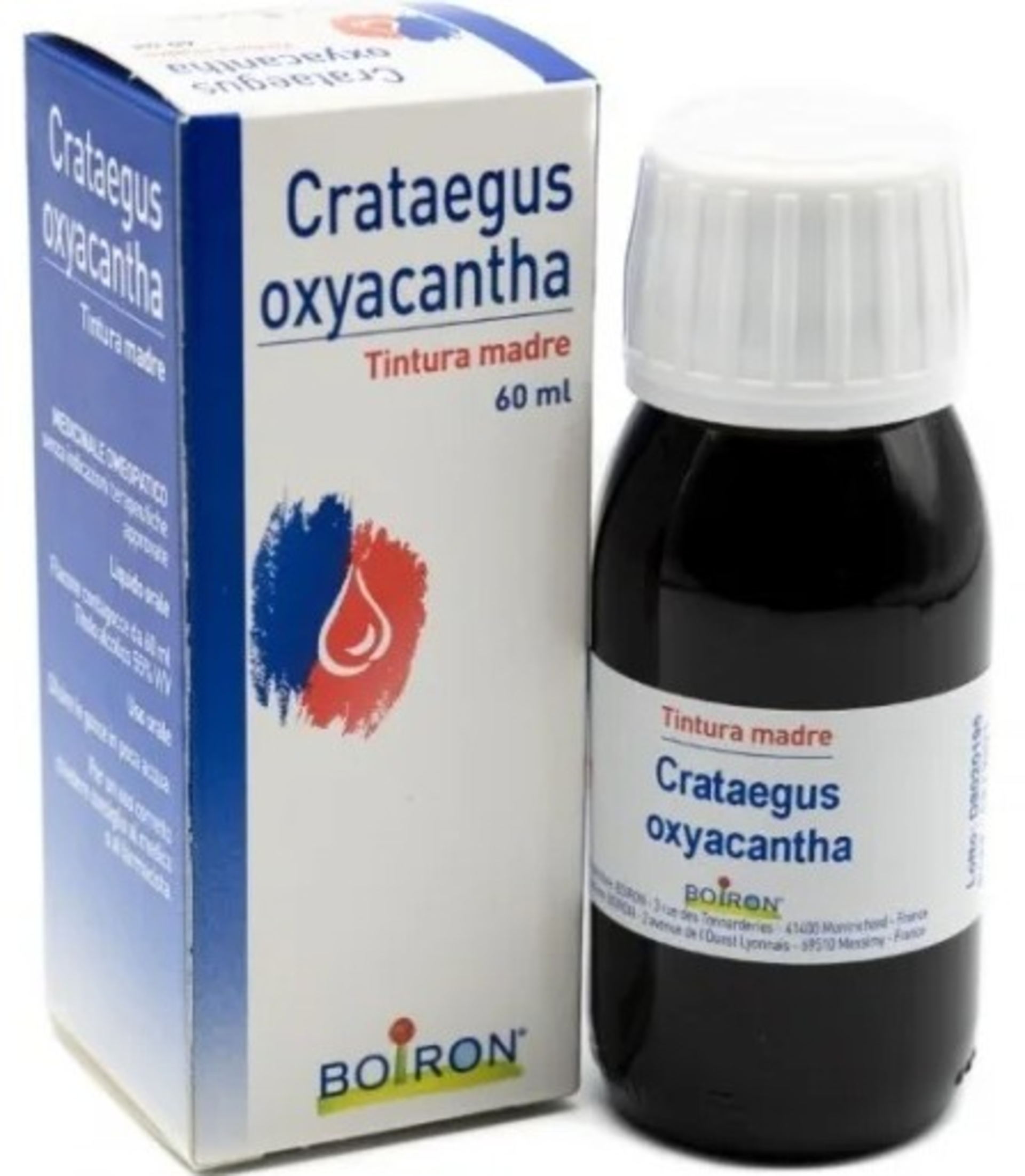 CRATAEGUS OXYA 60ML TM